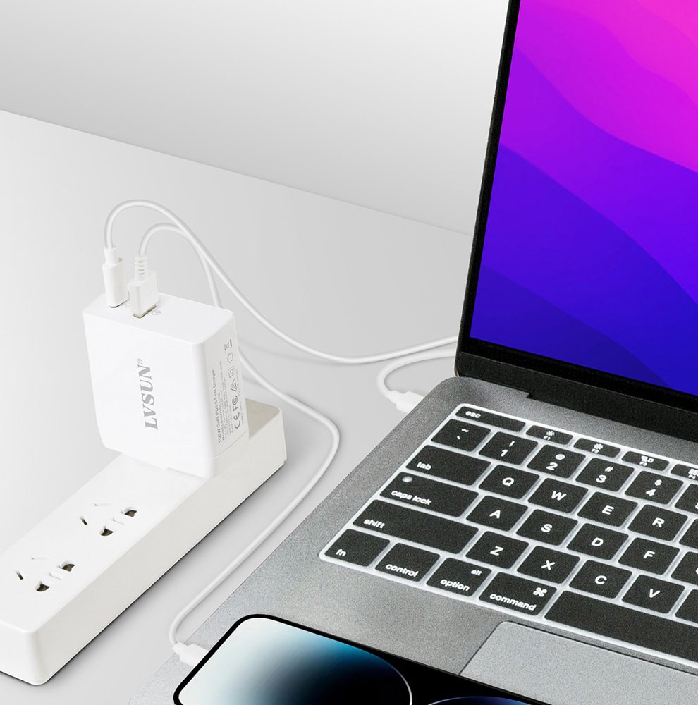 LVSUN 100W 2-Port USB-C Fast Wall Charger with GaN Tech