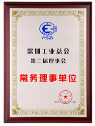 LVSUN was authorized as a member of Shenzhen Industries Association Council, and our general manager