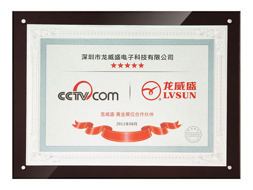 Warmly congratulation on LVSUN becoming the CCTV.COM partner and the Award ceremony
