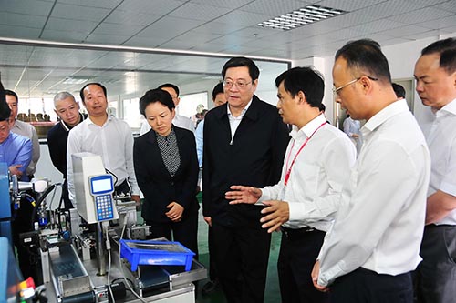Hunan Provincial Party Committee Secretary Jiahao Du visit DaoXian LVSUN Company for investigation