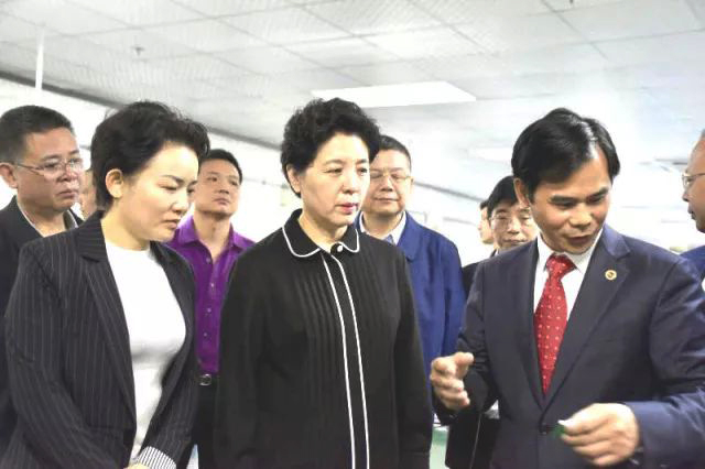 Wu Lan, Deputy Secretary of the Hunan Provincial Committee, visited LVSUN in Dao County for investigation